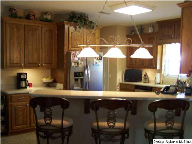 2066 Zion Hill Road Horton, AL 35980 - Photo 17 of 32