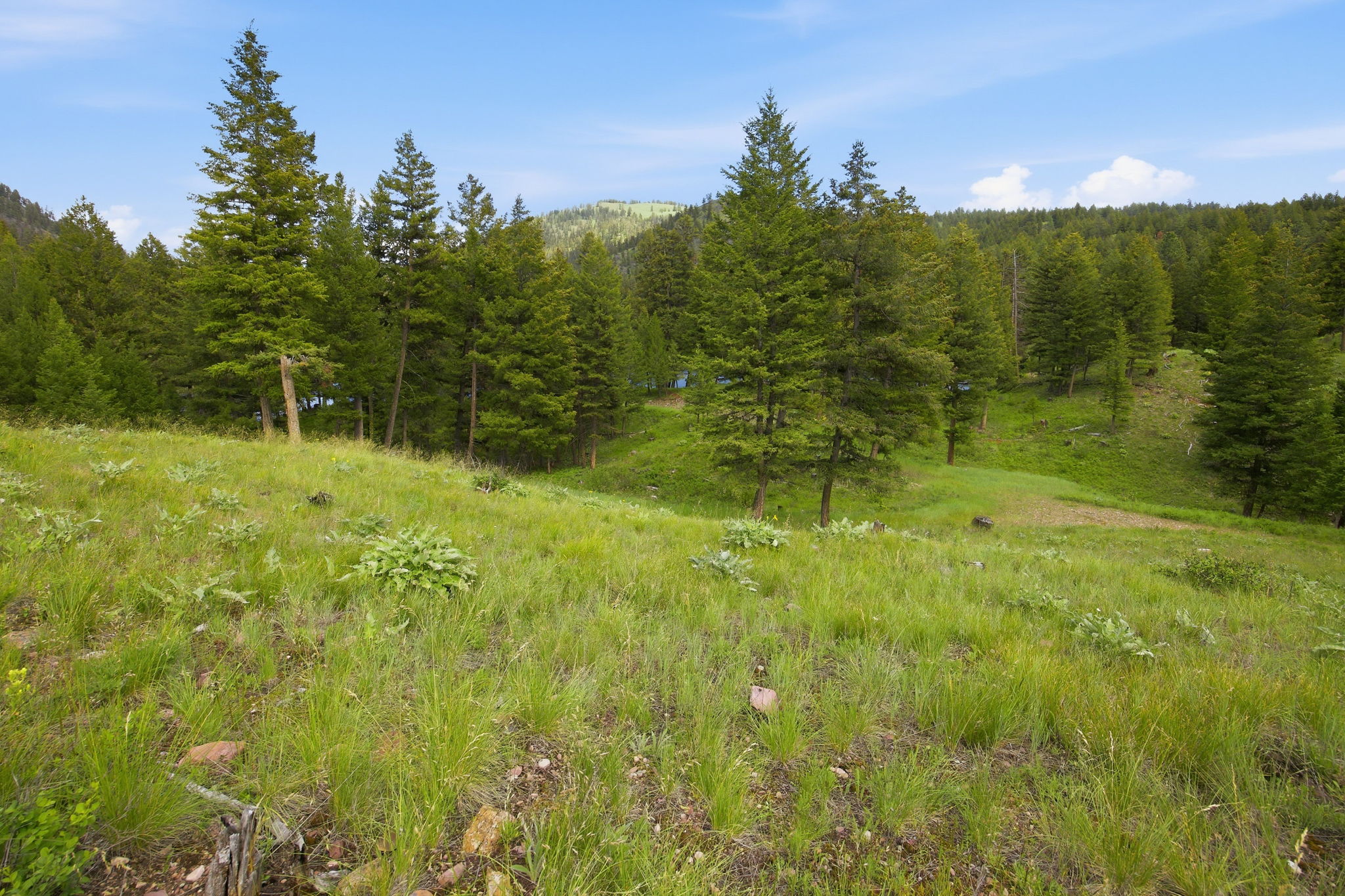 2 Big Waters Ranch Seeley Lake, MT 59868 - Photo 11 of 33 Gallery Image 11