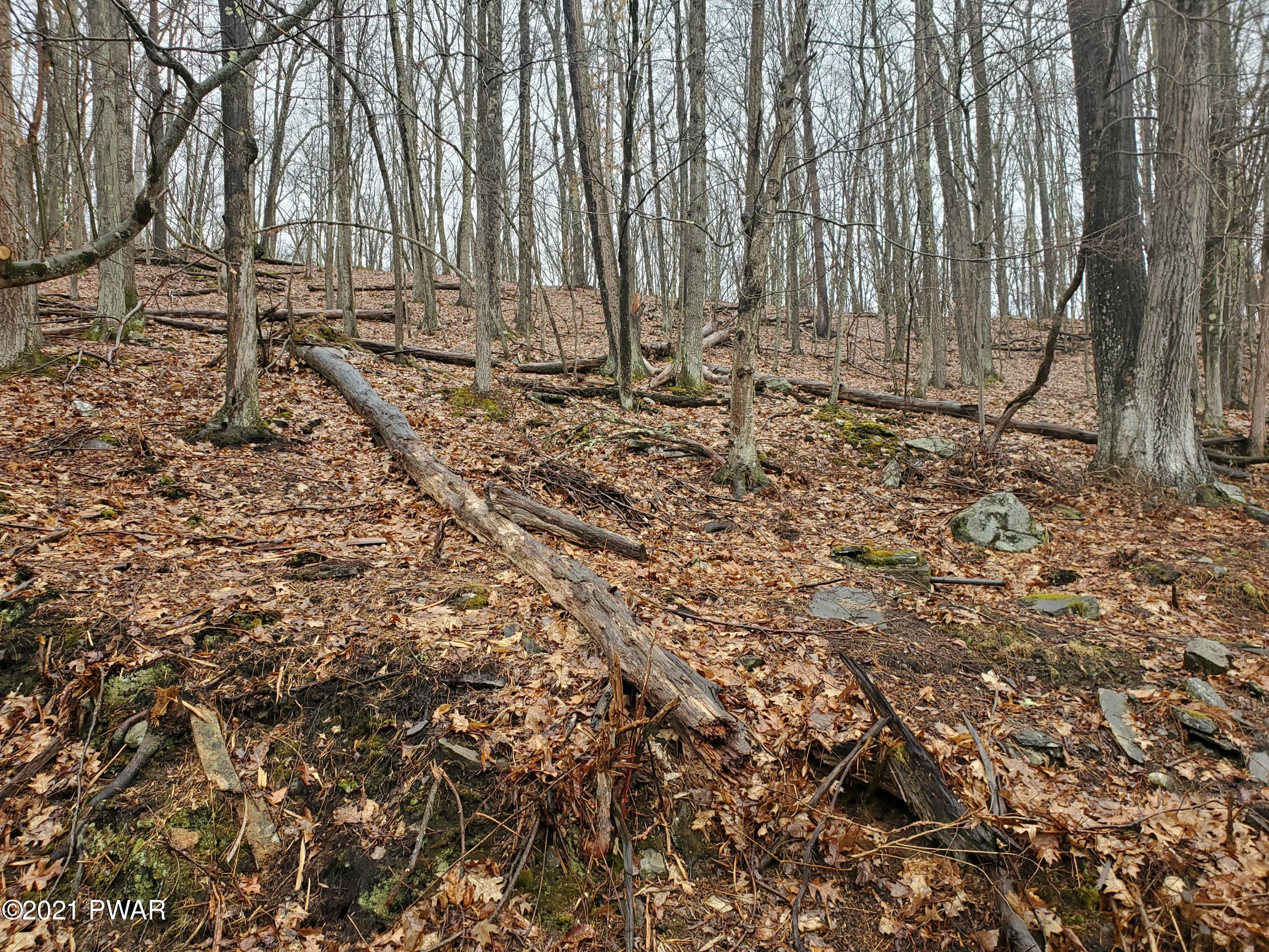 386 Masthope Plank Road Lackawaxen, PA 18435 - Photo 1 of 5