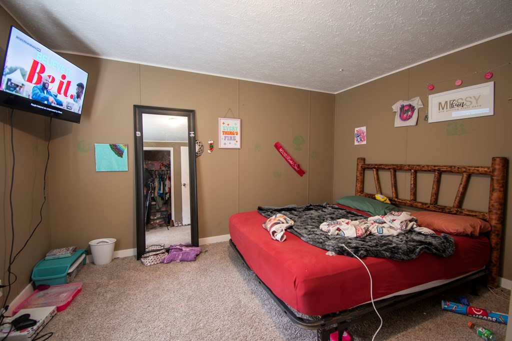 434 Creamery Road Brasstown, NC 28902 - Photo 24 of 29