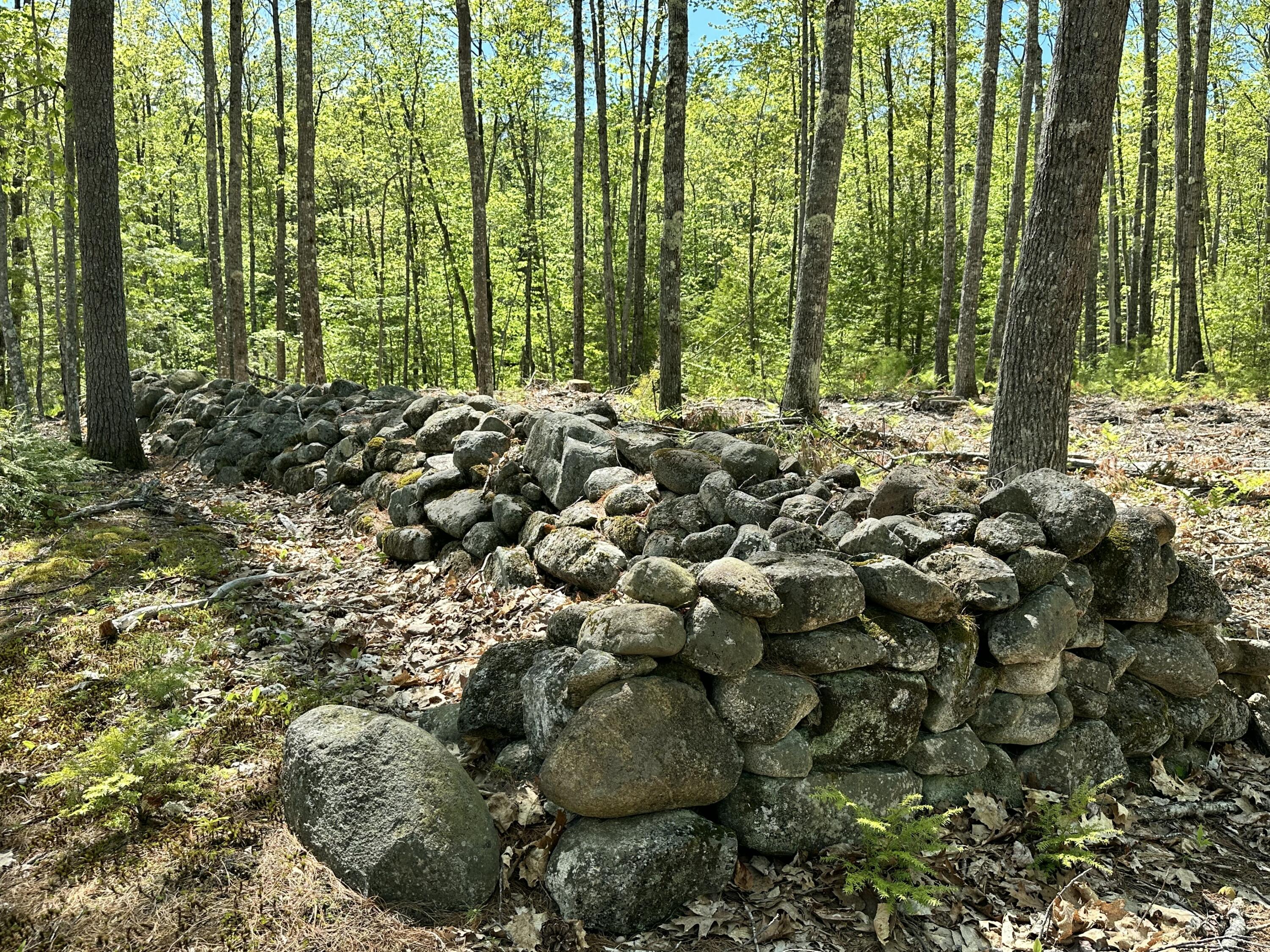 19 Grist Mill Road Naples, ME 04055 - Photo 12 of 31 Stone Walls