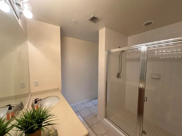 a bathroom with a shower and a plant