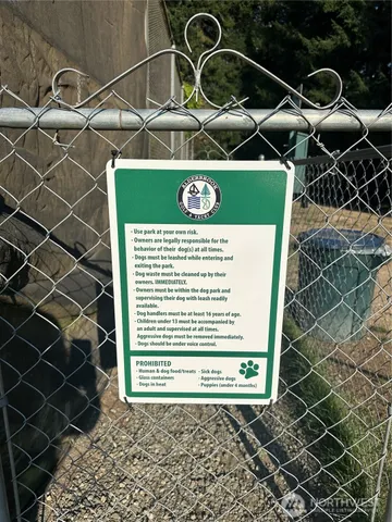 a view of a garden with plants