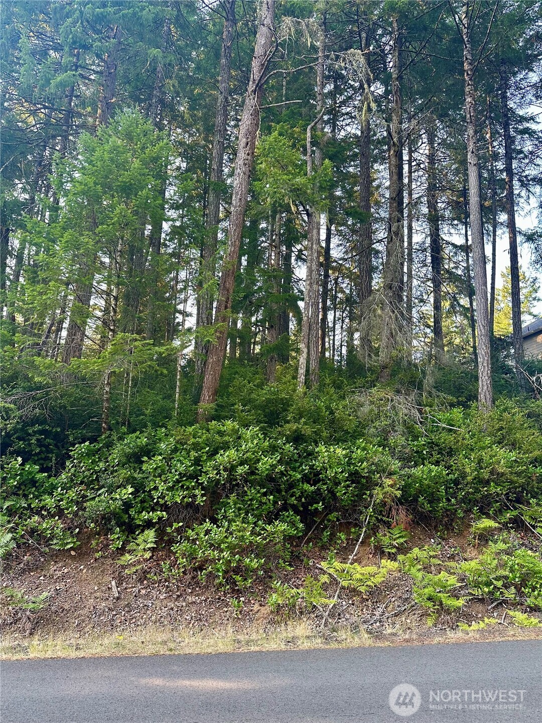700 East Vine Maple Lane Union, WA 98592 - Photo 13 of 14 a view of a garden with plants