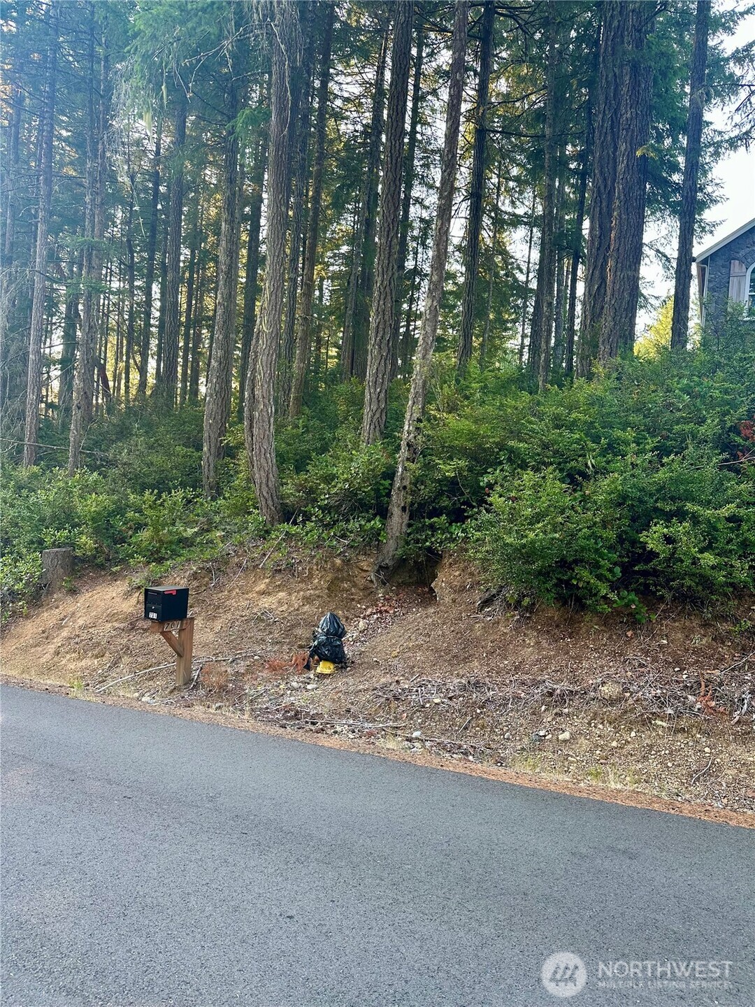 700 East Vine Maple Lane Union, WA 98592 - Photo 14 of 14 a backyard of a house with lots of green space