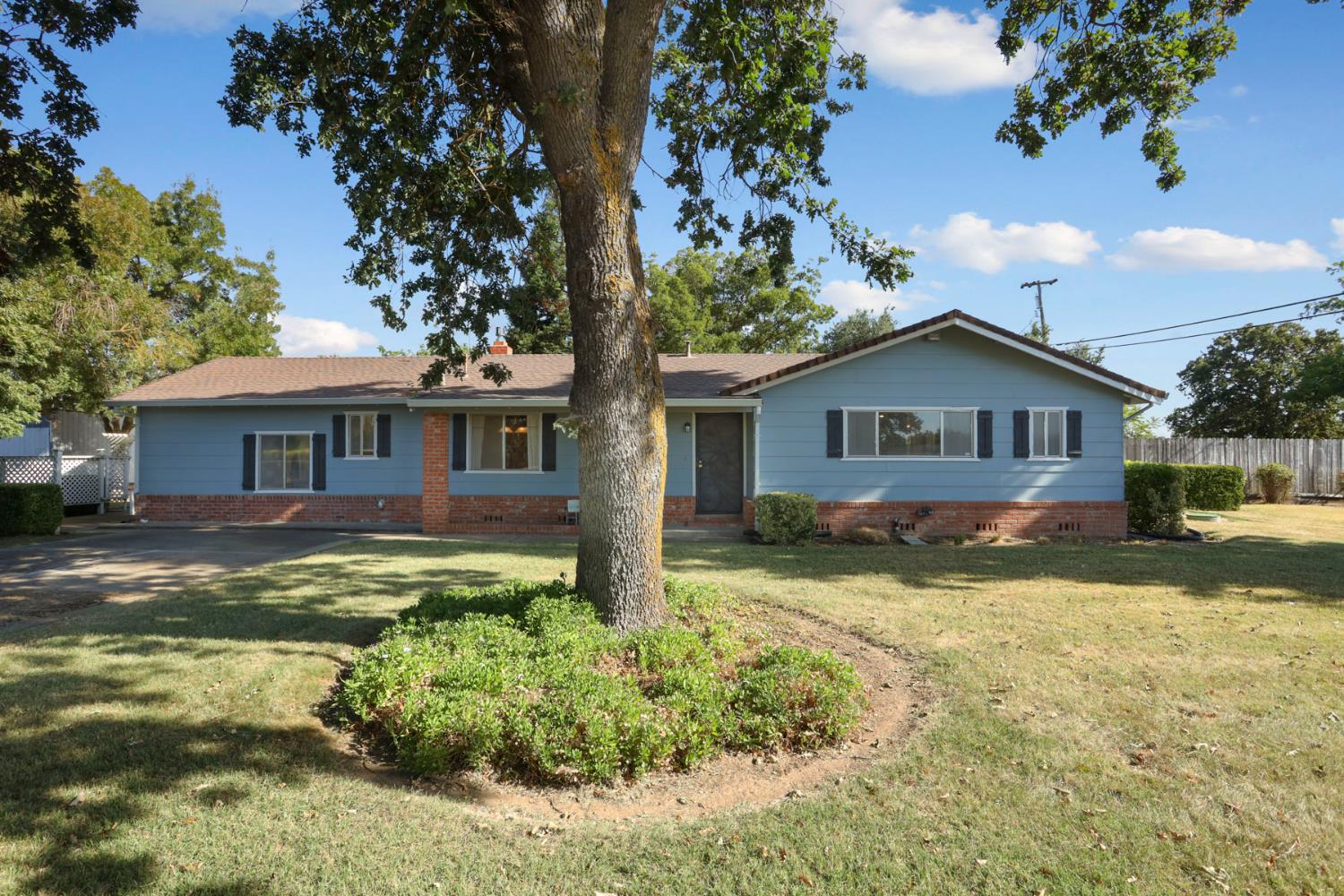 a view of a yard in front of a house with a large tree