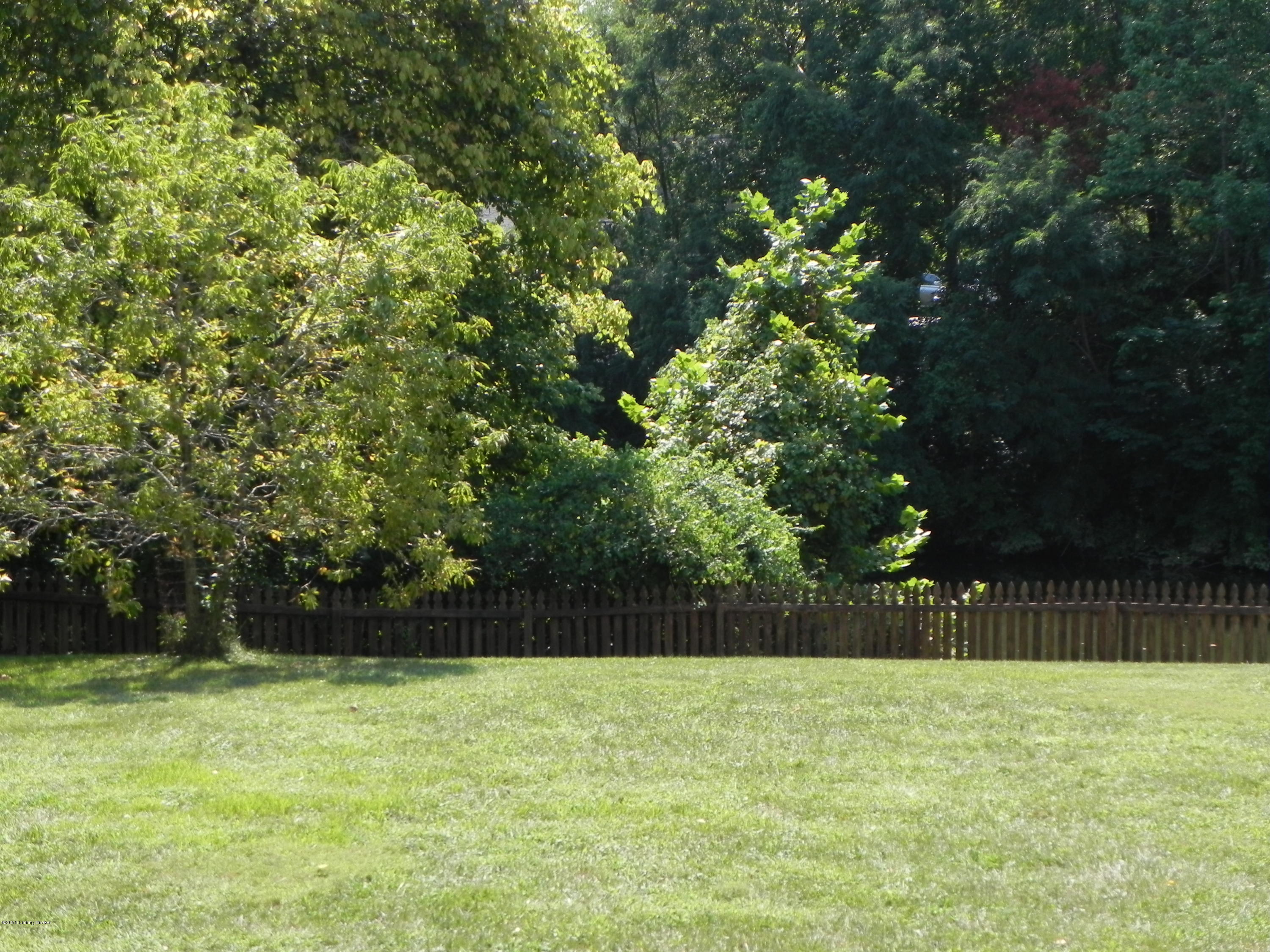 7010 Rock Hill Road Prospect, KY 40059 - Photo 29 of 34 30_BackyardFence01