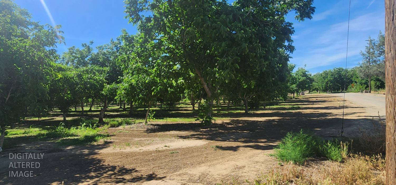 0 George Road Williams, CA 95987 - Photo 11 of 13