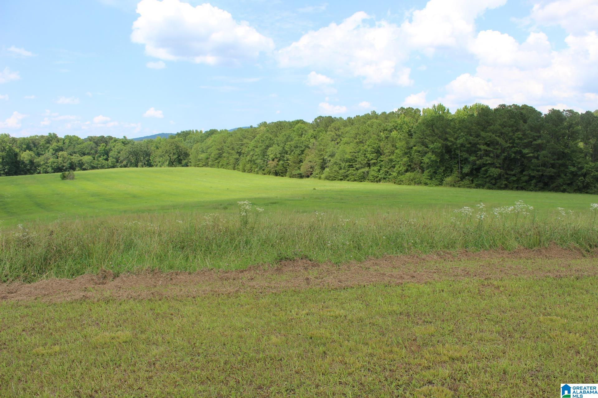 2865 Jenifer Road Munford, AL 36268 - Photo 44 of 47