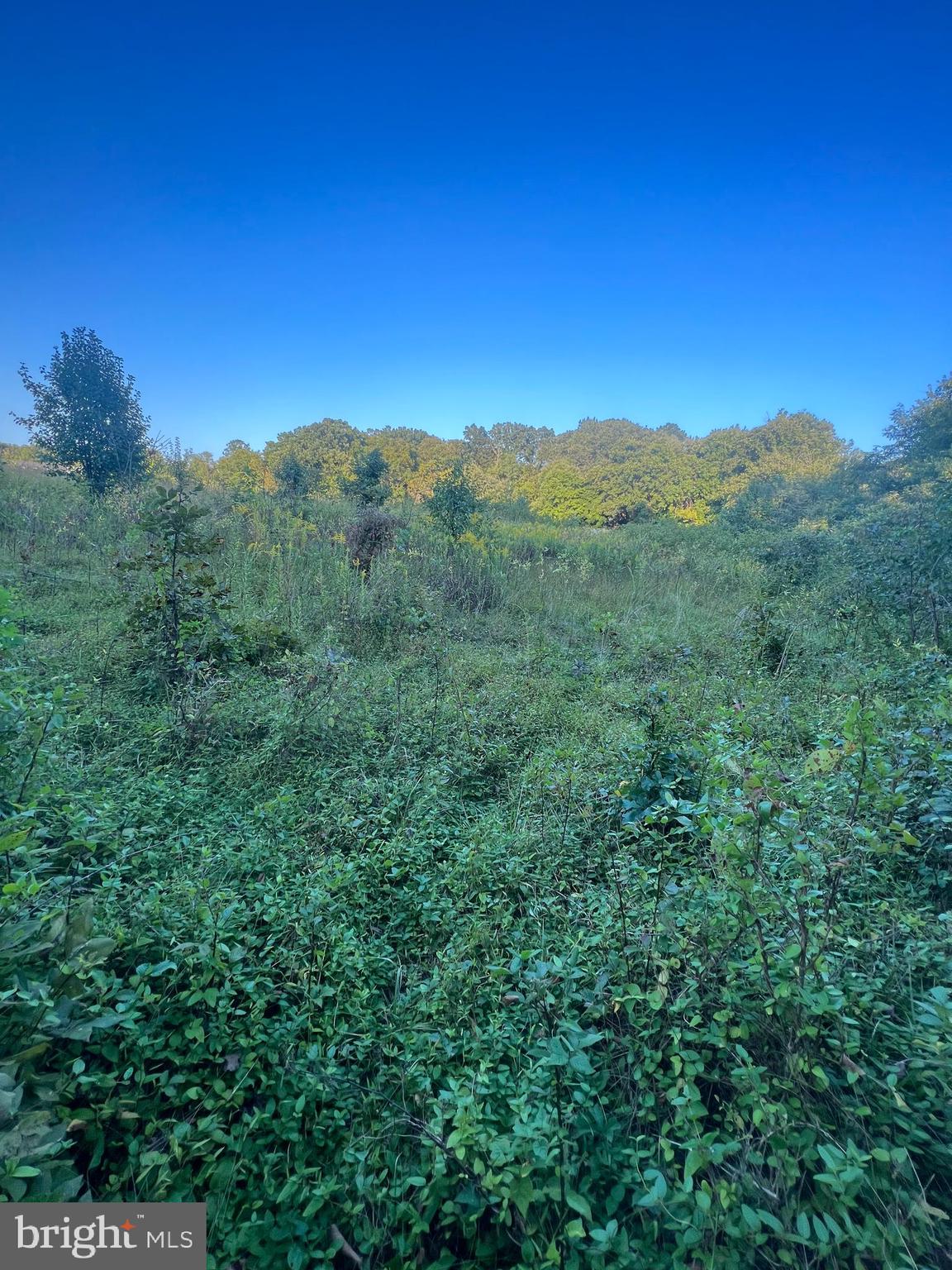 15491 Barnesville Road, Boyds, MD 20841 Compass