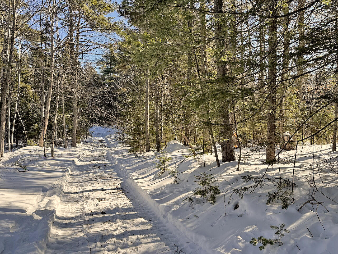 0 Shadis Road Edgecomb, ME 04556 - Photo 2 of 9 Way in to site 2