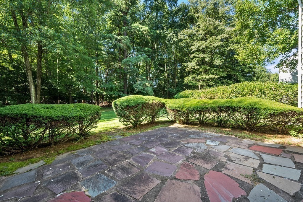 291 Maple Road Longmeadow, MA 01106 - Photo 23 of 26 a view of a backyard