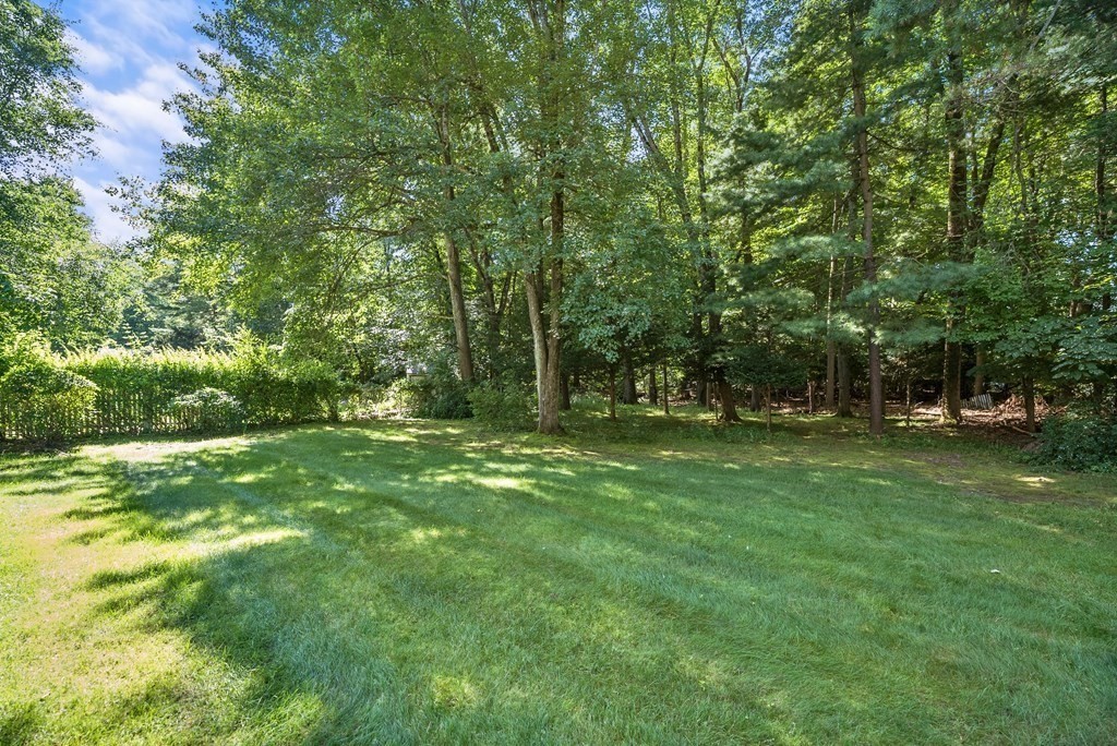 291 Maple Road Longmeadow, MA 01106 - Photo 25 of 26 a view of outdoor space with trees all around