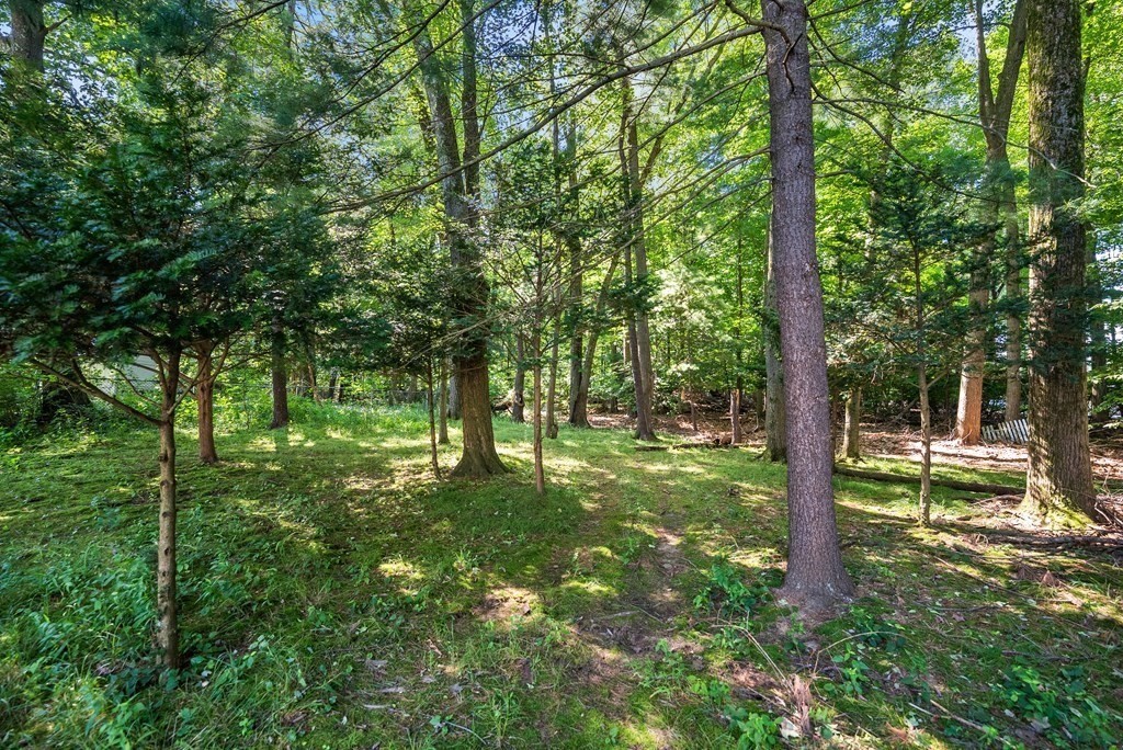 291 Maple Road Longmeadow, MA 01106 - Photo 26 of 26 a big yard with lots of green space and trees