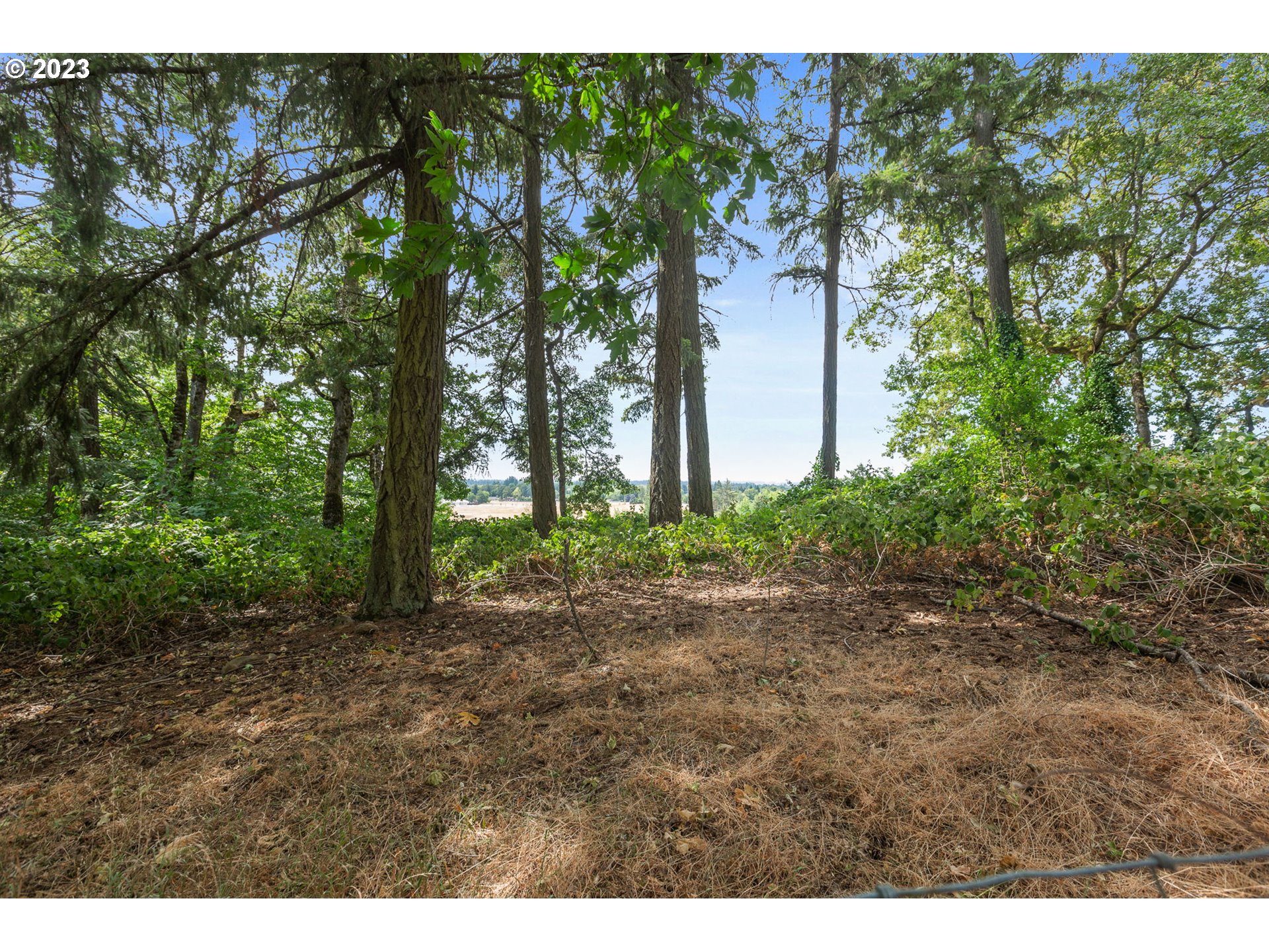 3809 North Springbrook Road Newberg, OR 97132 - Photo 11 of 14 a backyard of a house with lots of green space
