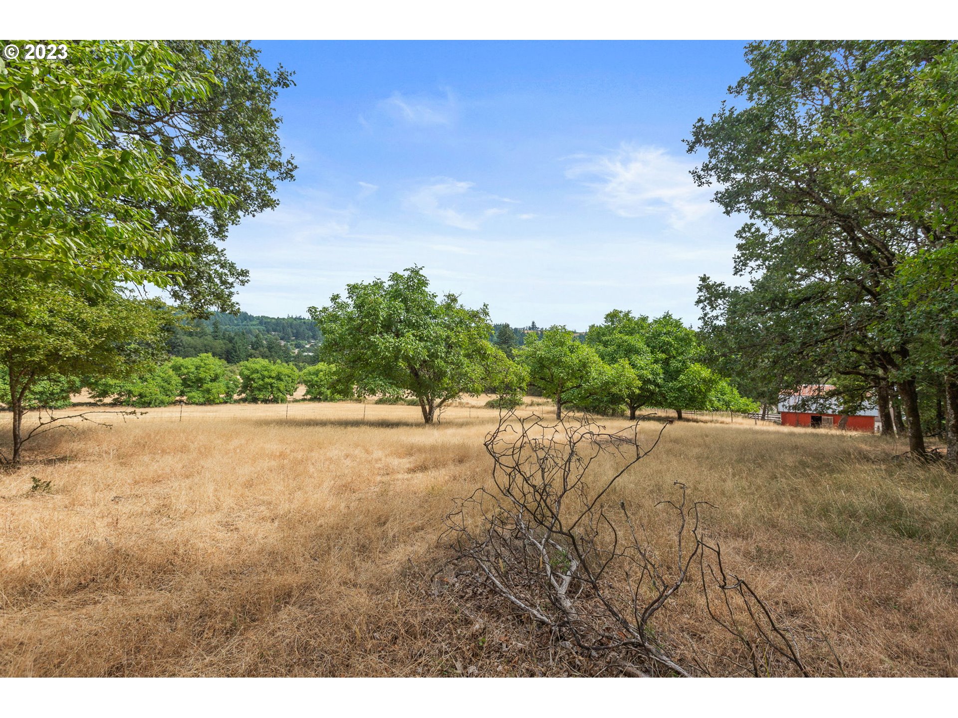 3809 North Springbrook Road Newberg, OR 97132 - Photo 12 of 14 a view of an outdoor space and a yard