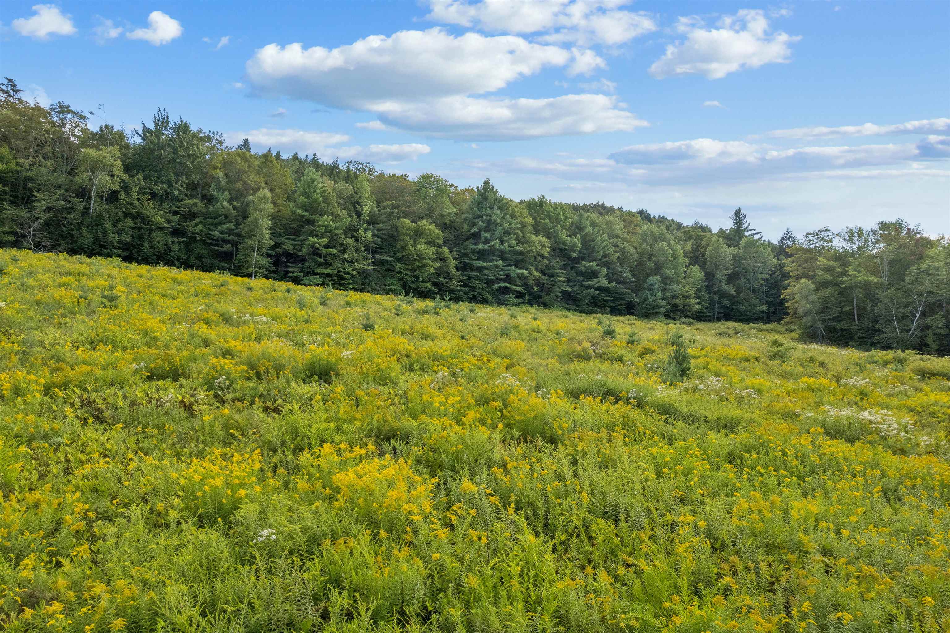 391 Mt Hunger Road Barnard, VT 05032 - Photo 11 of 44 Gallery Image 11