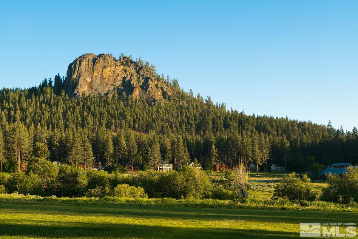 2204 Lands End Road Glenbrook, NV 89413 - Photo 37 of 40 a view of a yard