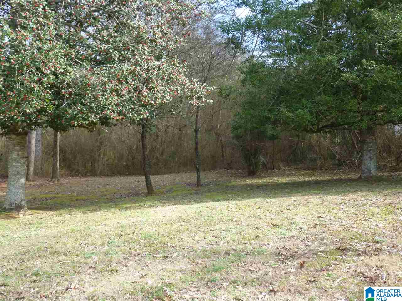 580 Brecon Access Road Talladega, AL 35160 - Photo 31 of 33