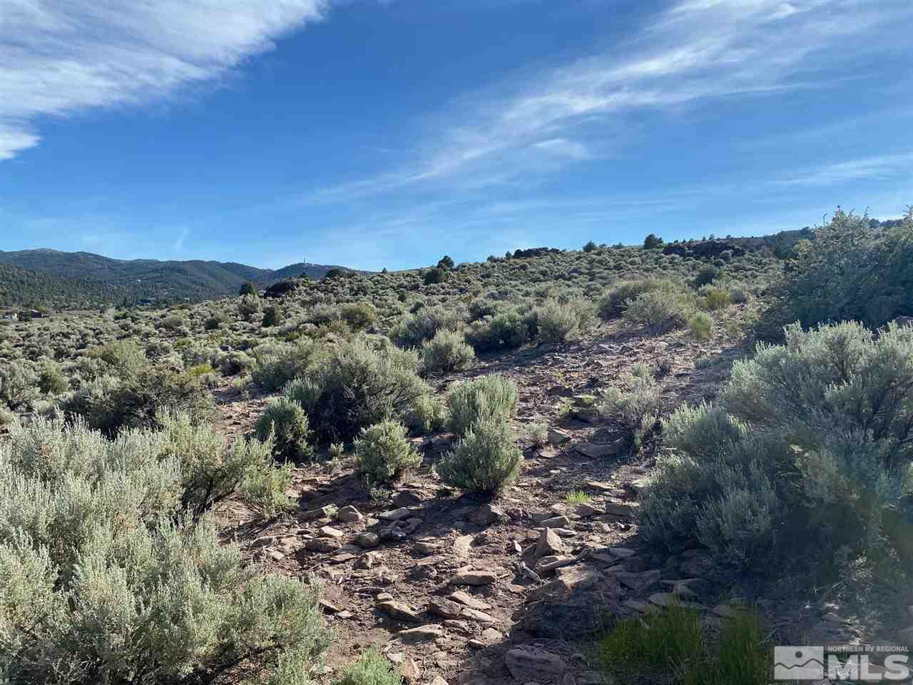 2880 Lousetown Road, Unit 38 Reno, NV 89521 - Photo 19 of 19 a view of a forest with mountains in the background