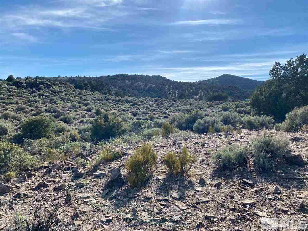 2880 Lousetown Road, Unit 38 Reno, NV 89521 - Photo 10 of 19 a view of a forest with trees in the background