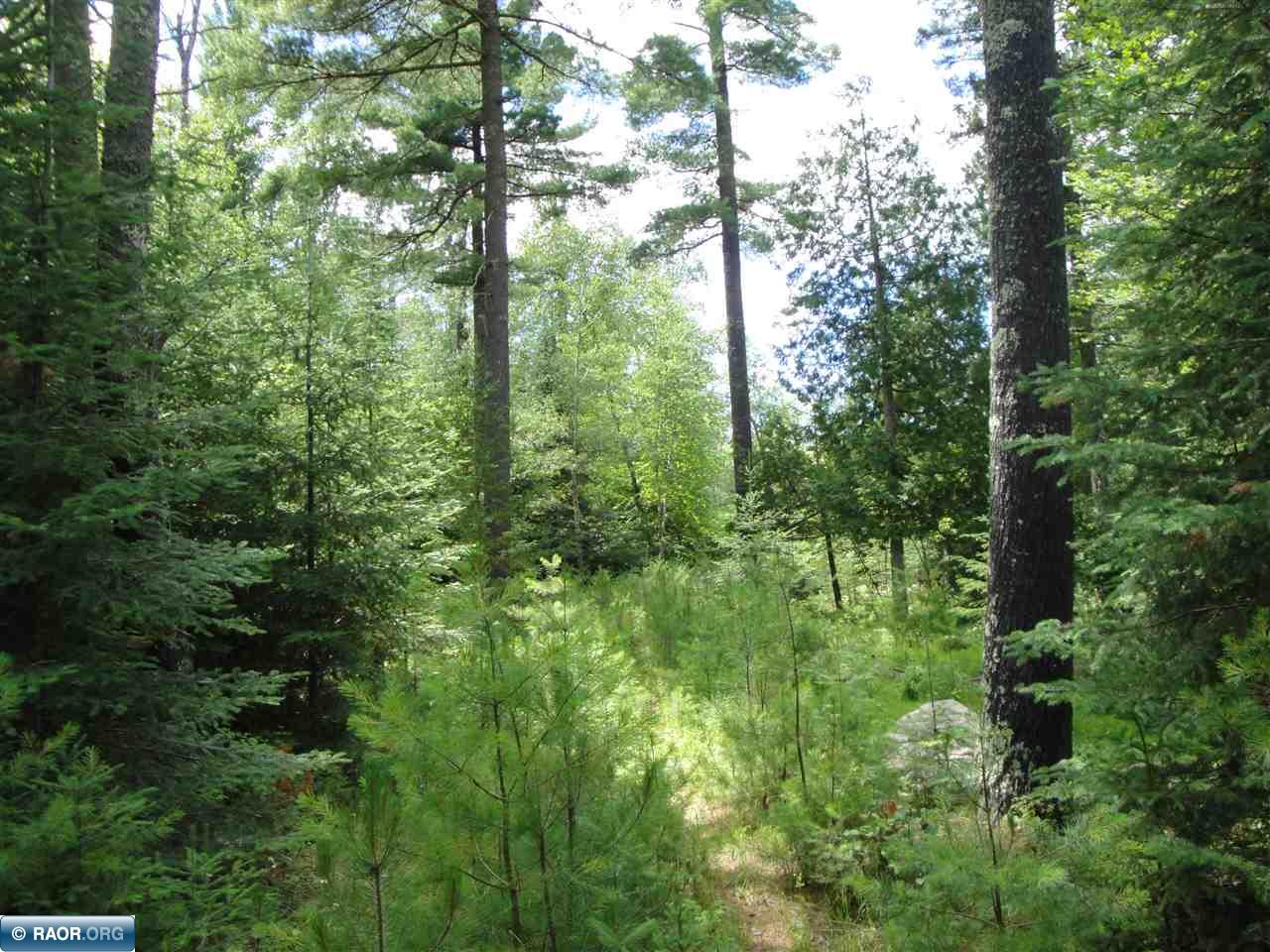 Tbd Tbd Hydukes Road Tower, MN 55790 - Photo 1 of 3