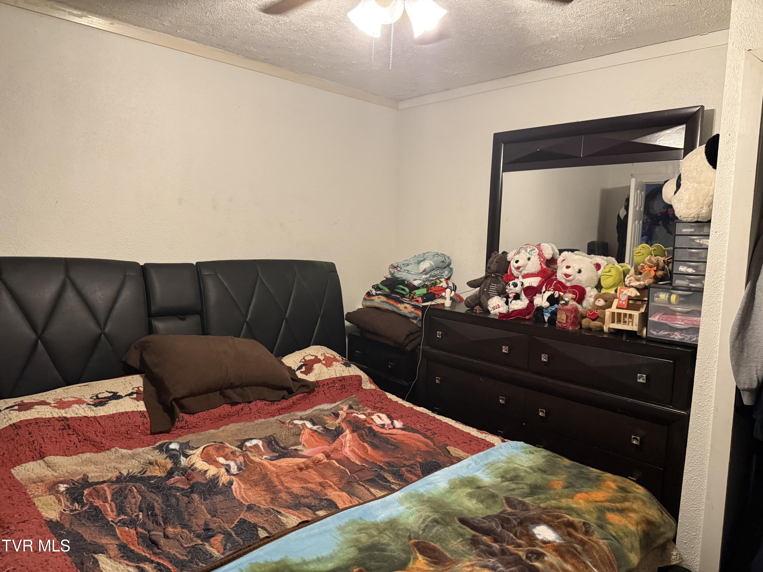 3005 Long Hollow Road Cleveland, VA 24225 - Photo 12 of 17 IMG_9931