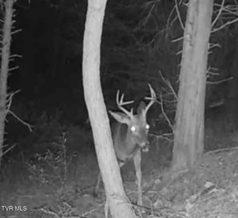 $119,900 | 3005 Long Hollow Road, Cleveland, VA 24225