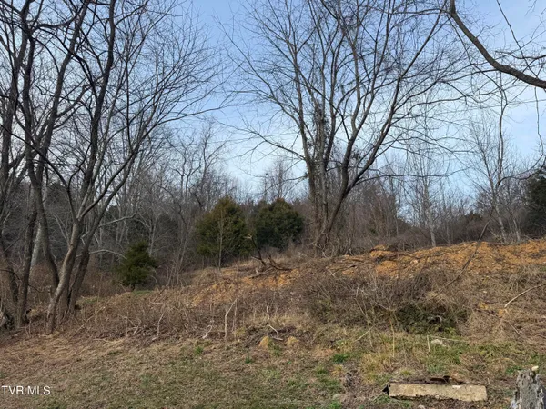 $119,900 | 3005 Long Hollow Road, Cleveland, VA 24225