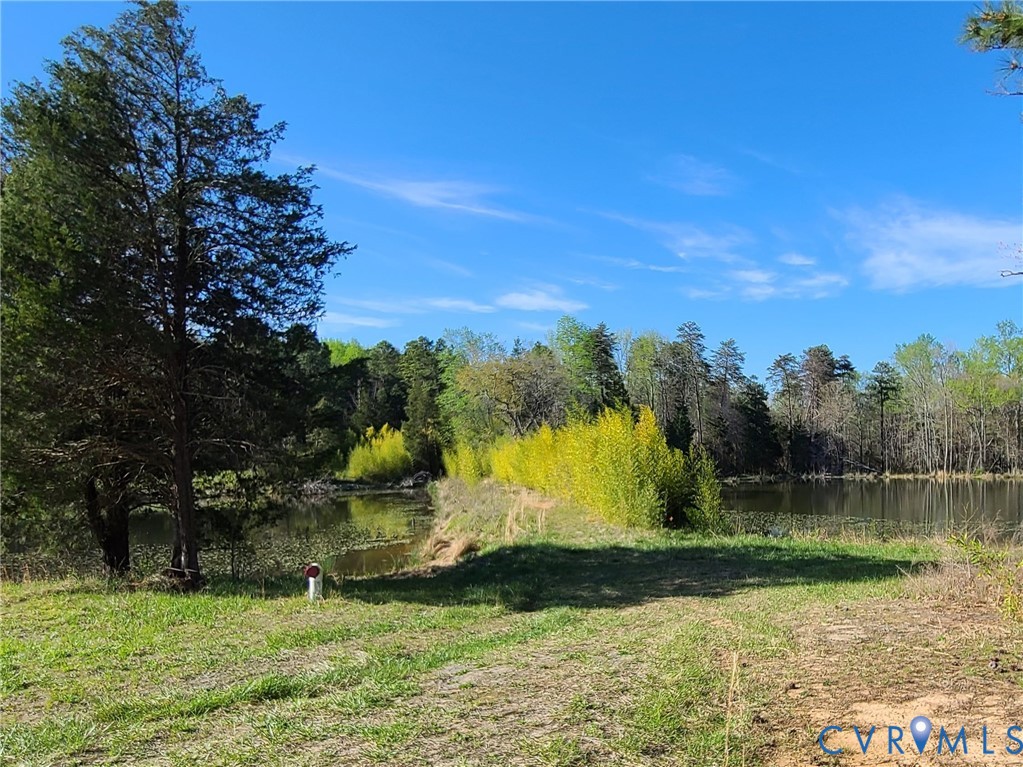 16124 Beaverdam School Road Beaverdam, VA 23015 - Photo 11 of 50 a view of a lake