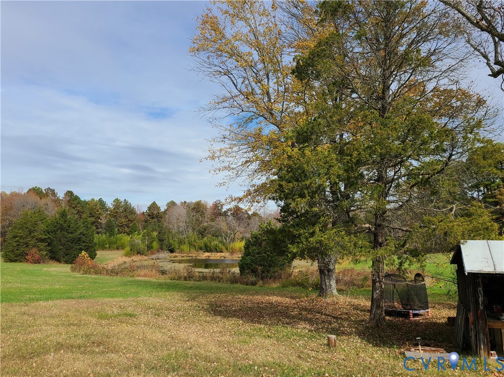 16124 Beaverdam School Road Beaverdam, VA 23015 - Photo 39 of 50 a view of a yard with an trees