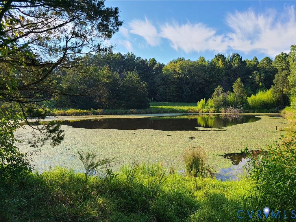 16124 Beaverdam School Road Beaverdam, VA 23015 - Photo 10 of 50