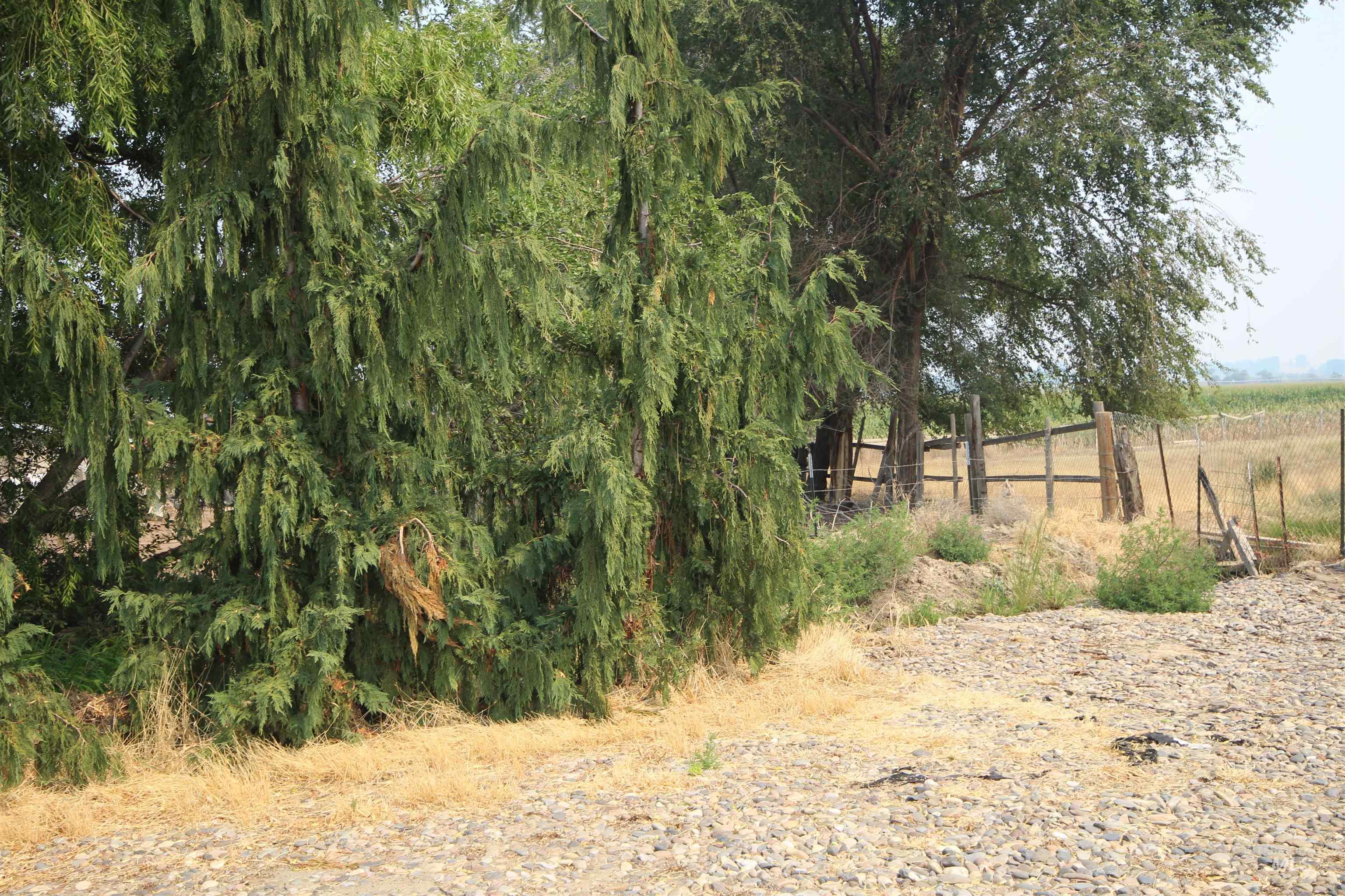 Tbd North Jump Creek Road Homedale, ID 83628 - Photo 3 of 14 Gallery Image 3