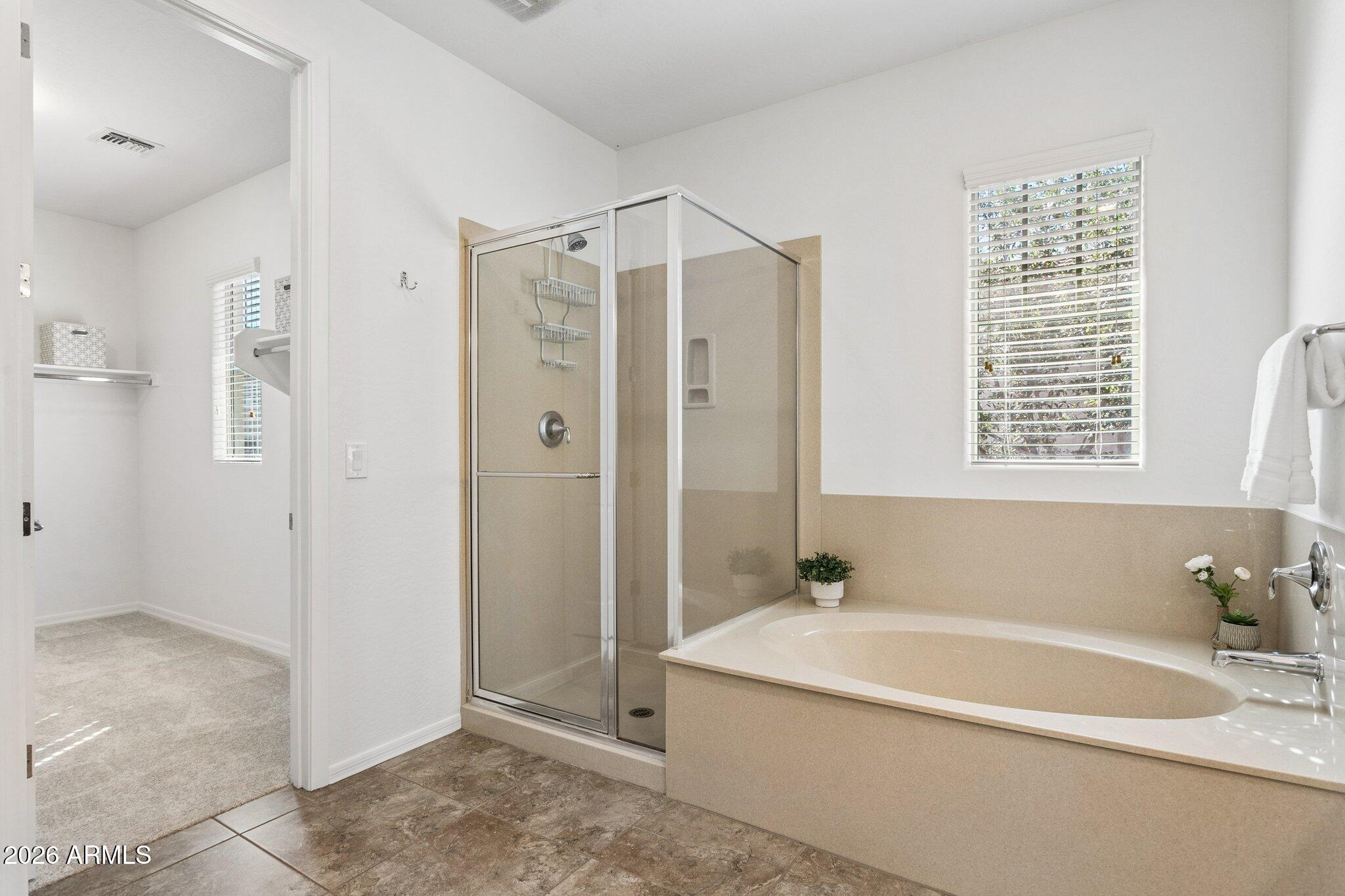922 South Agnes Lane Gilbert, AZ 85296 - Photo 21 of 43 a bathroom with a bathtub and a shower