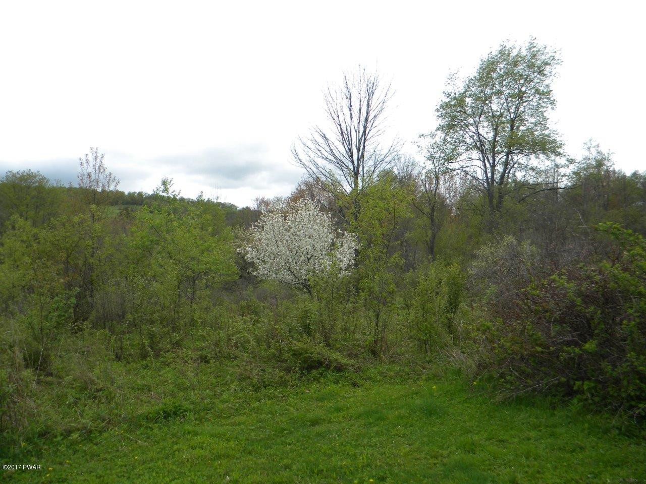 401 T R 467 Honesdale, PA 18431 - Photo 4 of 8