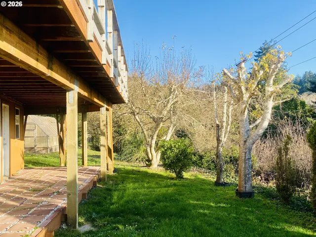 a view of a backyard