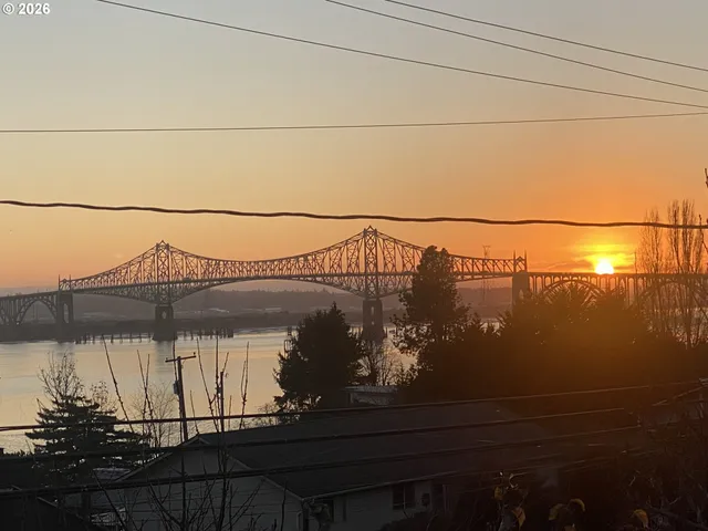 a view of a backyard with potted plants