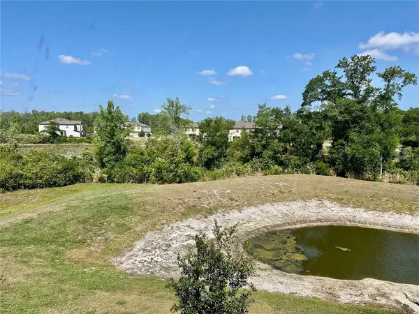 $2,000 | 10981 Wishing Cloud Road, Land O Lakes, FL 34638