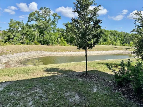 $2,000 | 10981 Wishing Cloud Road, Land O Lakes, FL 34638