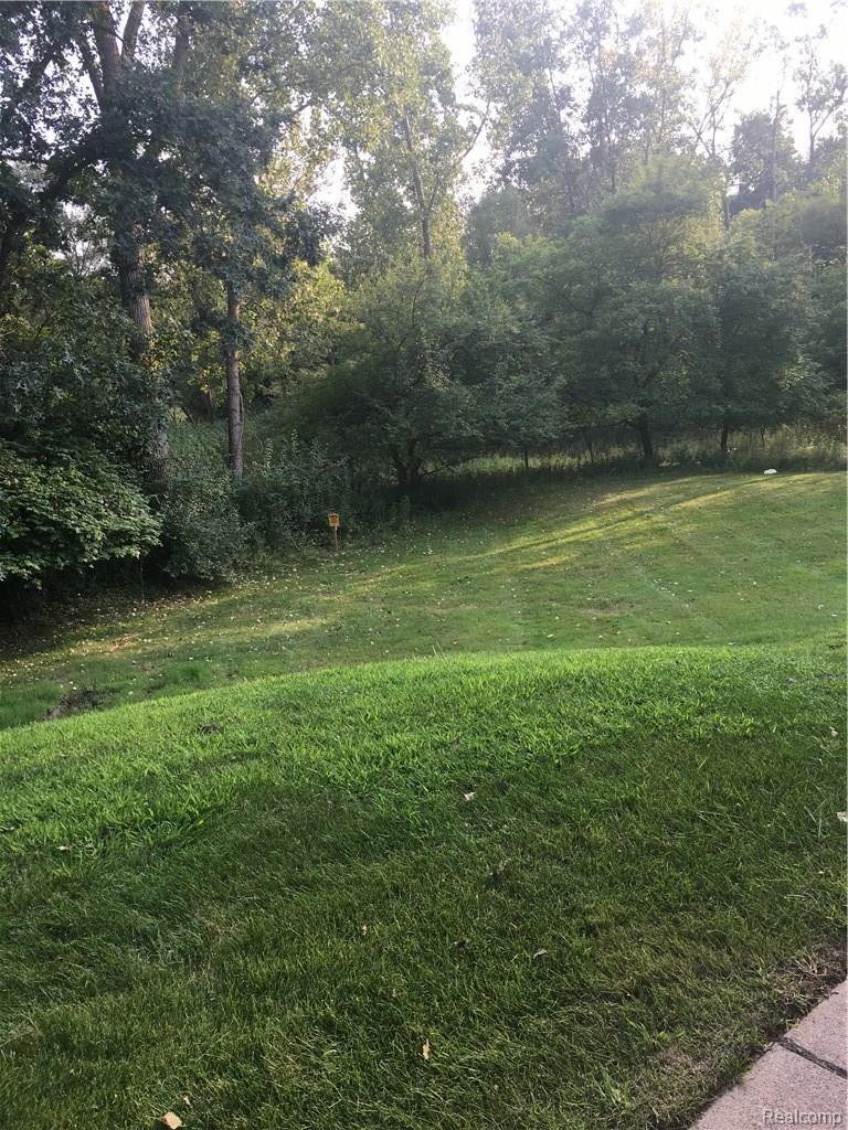 1687 Riverside Drive, Unit U14 Rochester, MI 48309 - Photo 40 of 50 Clinton River / Wooded Area View 2
