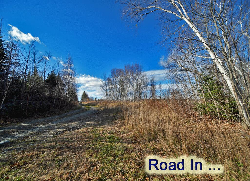 Lot 2 Off Bangor Road Houlton, ME 04730 - Photo 5 of 44 road-in-me-land