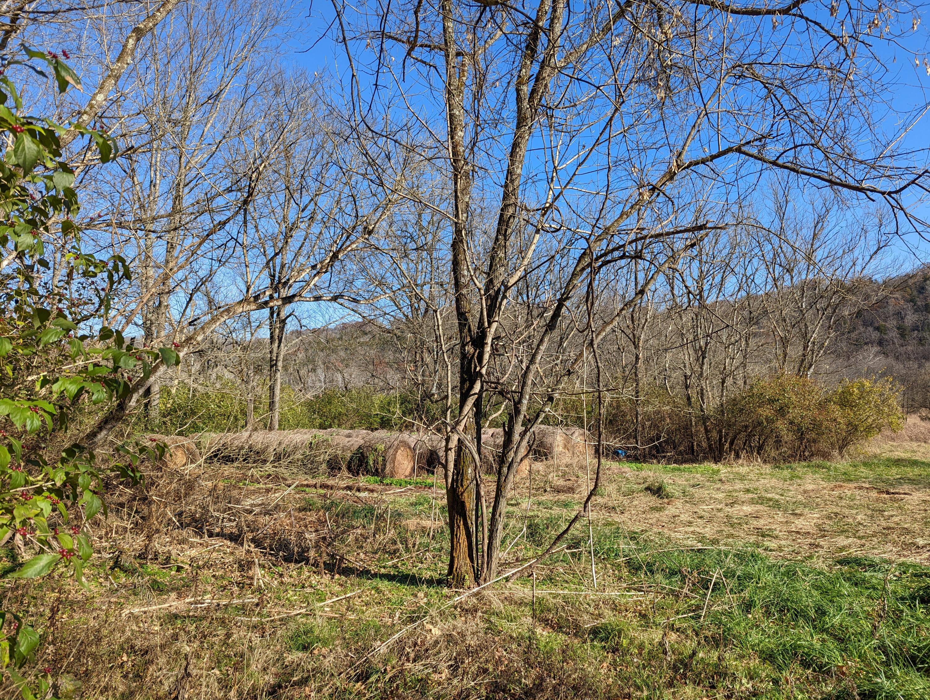 3316 Red River Road Winchester, KY 40391 - Photo 7 of 19 PXL_20211119_172921754