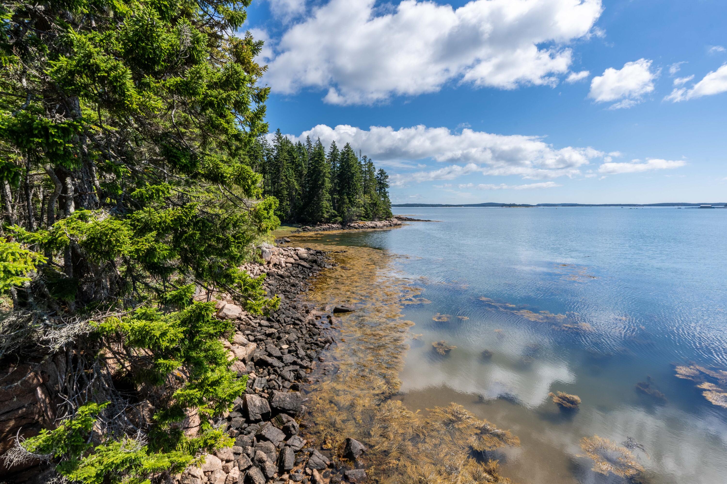 175 Black Duck Cove Road Beals, ME 04611 - Photo 1 of 19 175 Black Duck Cove Rd. Beals (2 of 50)