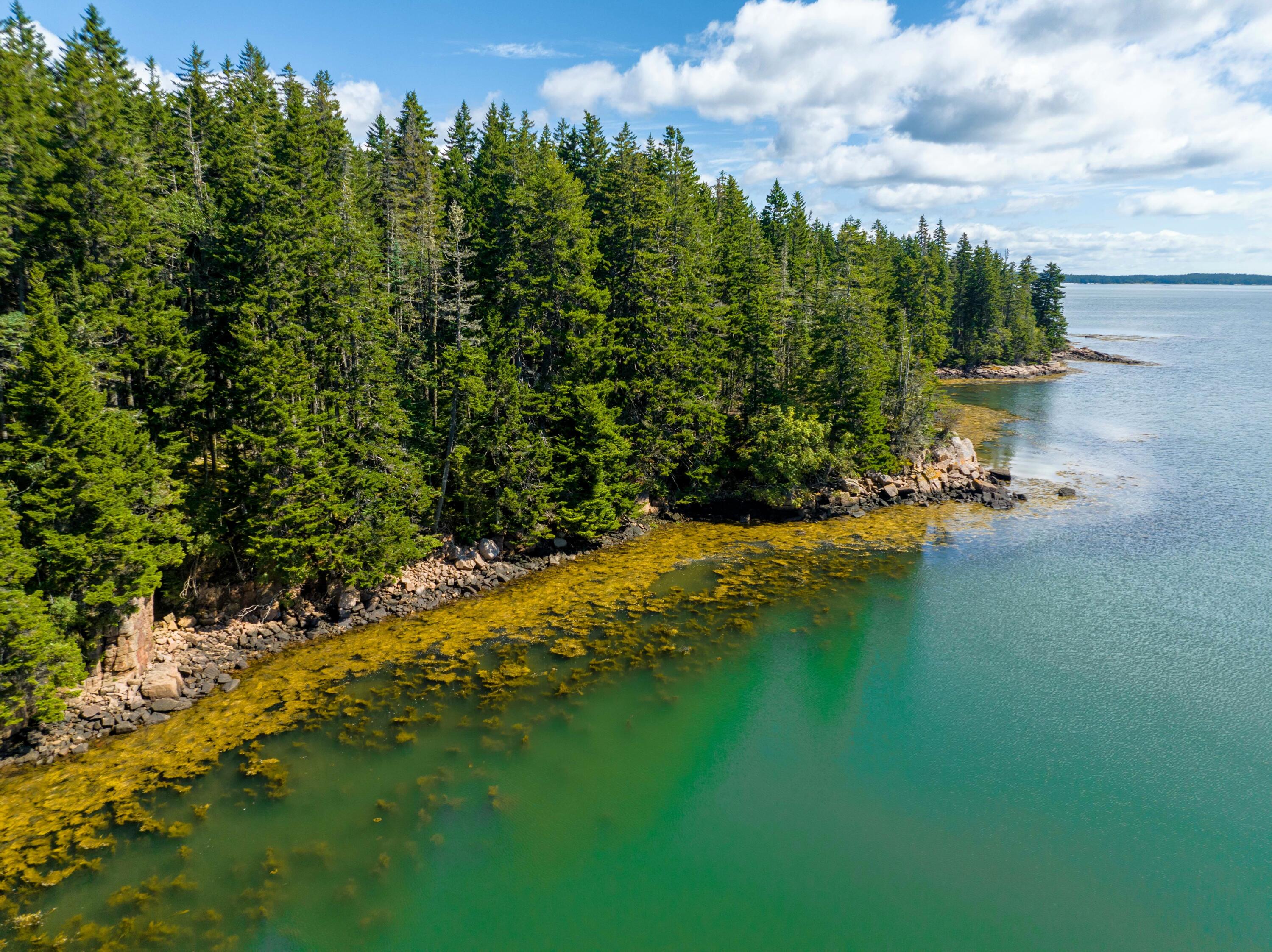 175 Black Duck Cove Road Beals, ME 04611 - Photo 14 of 19 175 Black Duck Cove Rd. Beals (28 of 50)