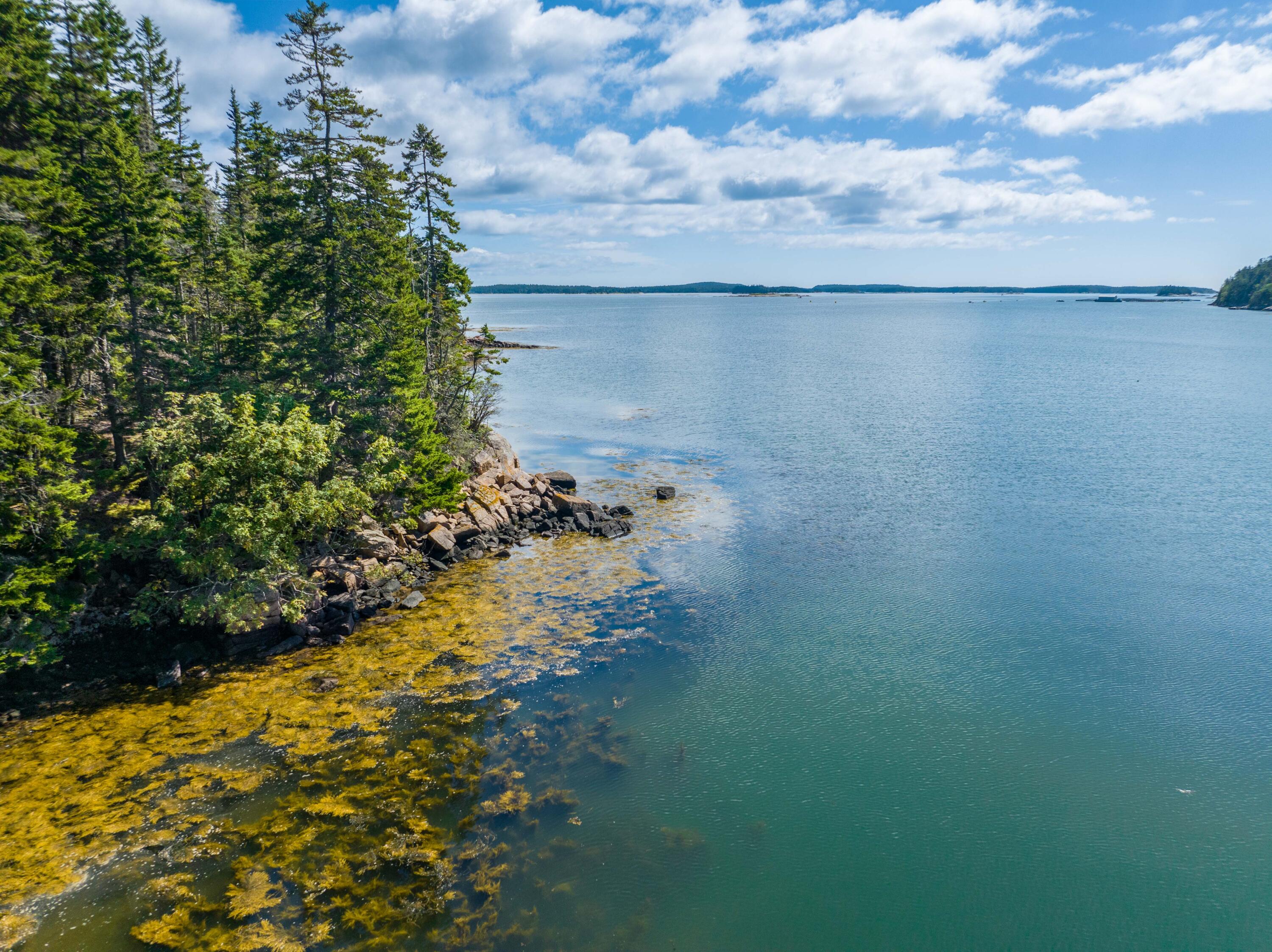 175 Black Duck Cove Road Beals, ME 04611 - Photo 15 of 19 175 Black Duck Cove Rd. Beals (30 of 50)