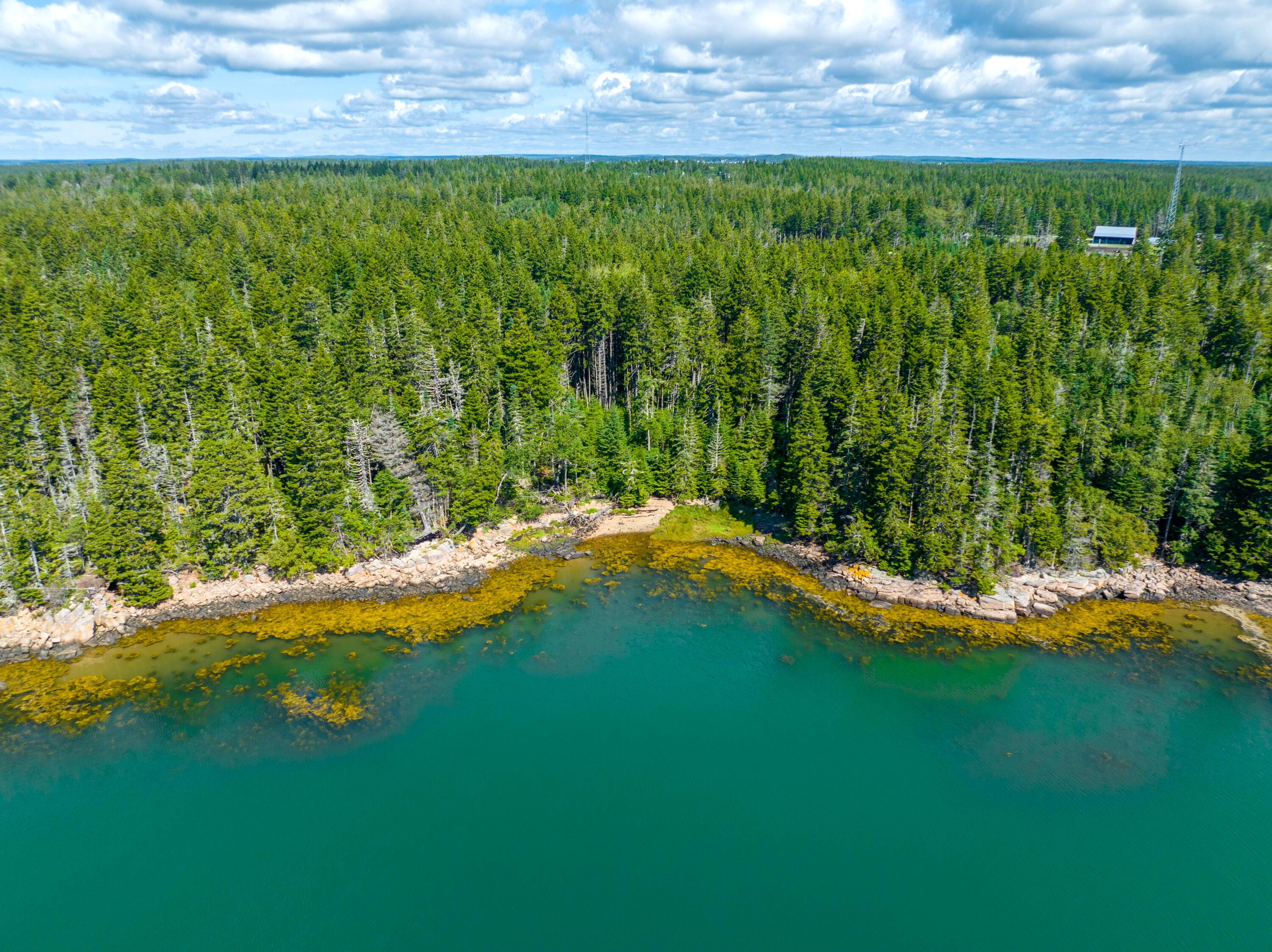 175 Black Duck Cove Road Beals, ME 04611 - Photo 16 of 19 175 Black Duck Cove Rd. Beals (33 of 50)