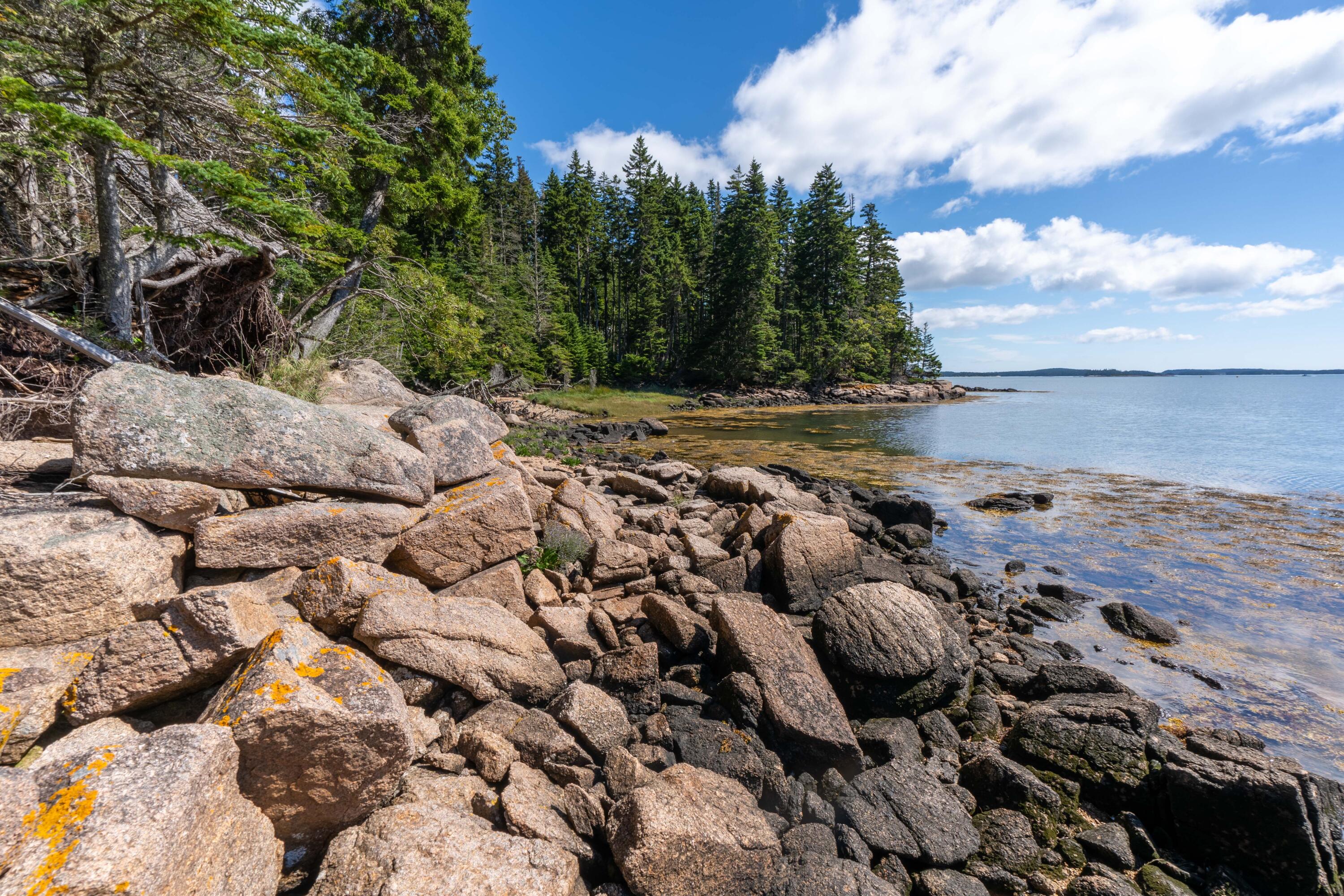 175 Black Duck Cove Road Beals, ME 04611 - Photo 19 of 19 175 Black Duck Cove Rd. Beals (5 of 50)