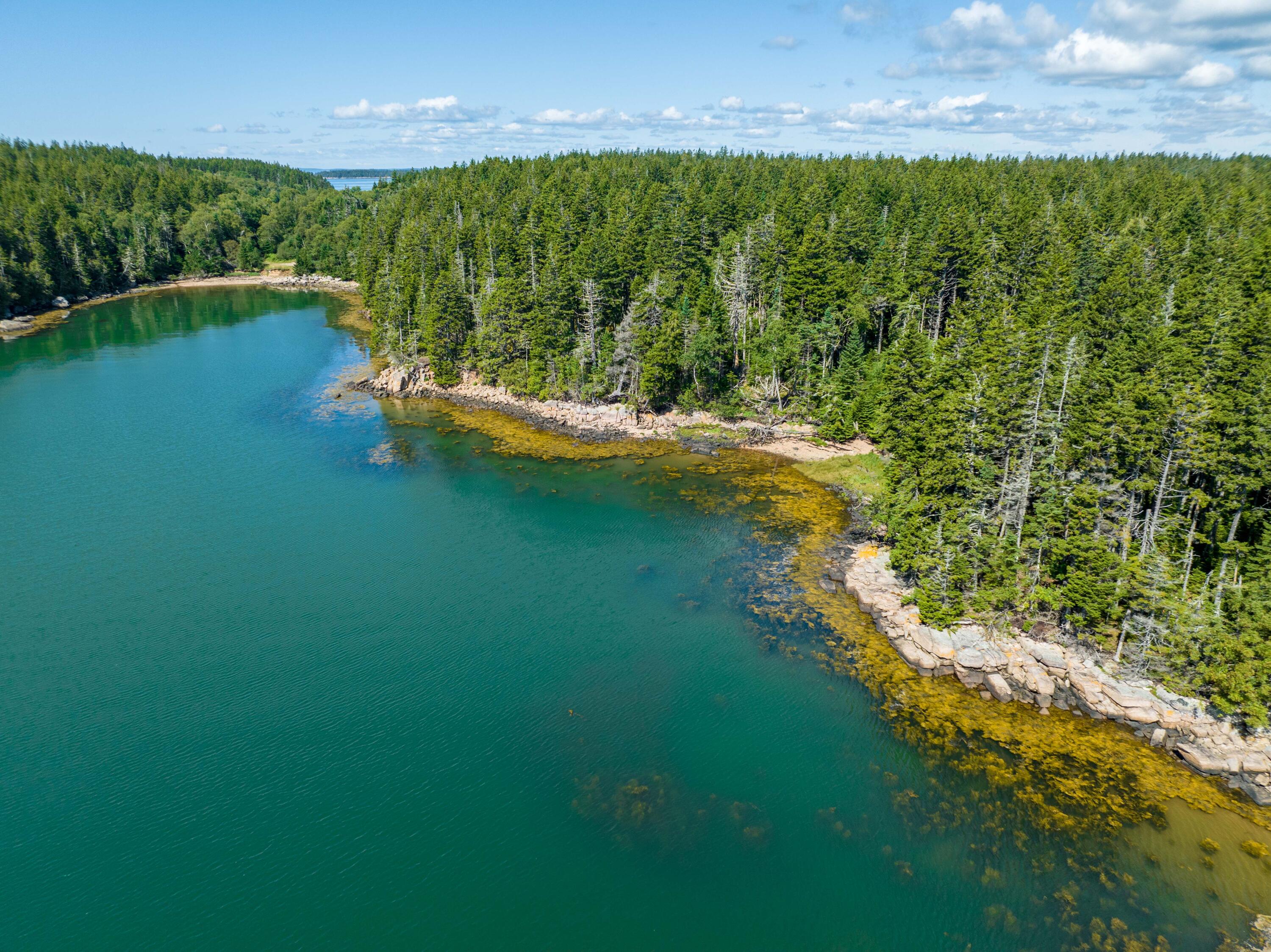 175 Black Duck Cove Road Beals, ME 04611 - Photo 6 of 19 175 Black Duck Cove Rd. Beals (19 of 50)