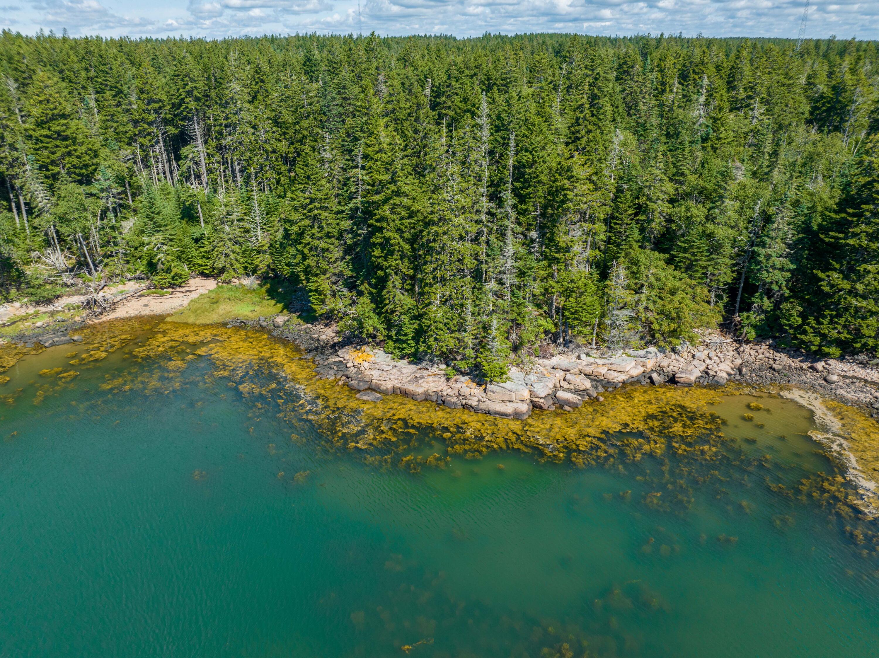 175 Black Duck Cove Road Beals, ME 04611 - Photo 7 of 19 175 Black Duck Cove Rd. Beals (20 of 50)