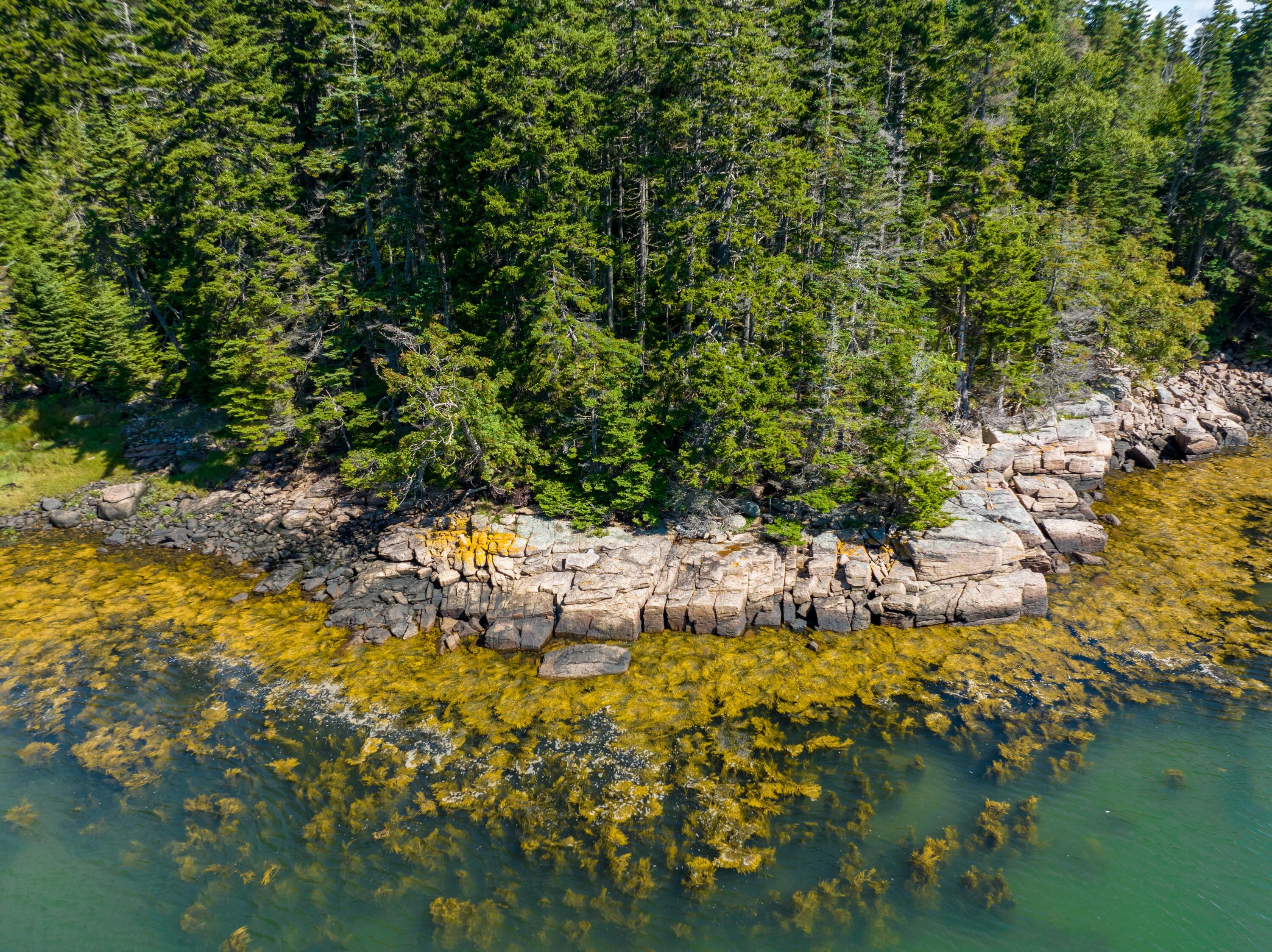 175 Black Duck Cove Road Beals, ME 04611 - Photo 8 of 19 175 Black Duck Cove Rd. Beals (21 of 50)